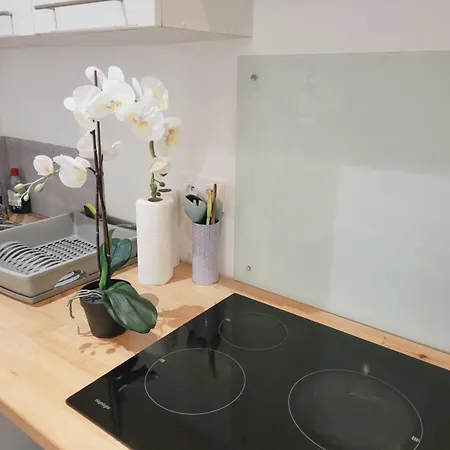 Douceur De Sainte - Cosy 2-4 Personnes Centre Apartamento